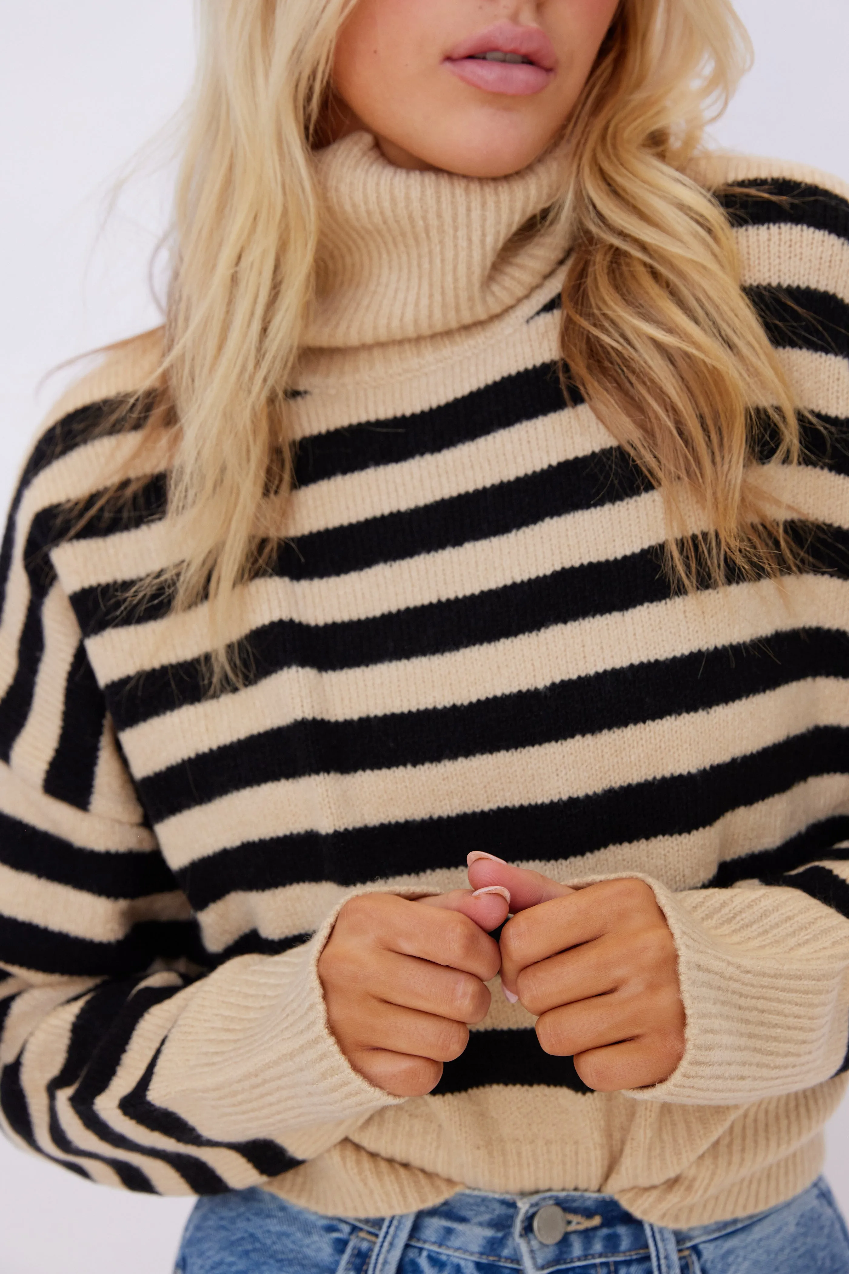 Jean Stripe Turtleneck Sweater