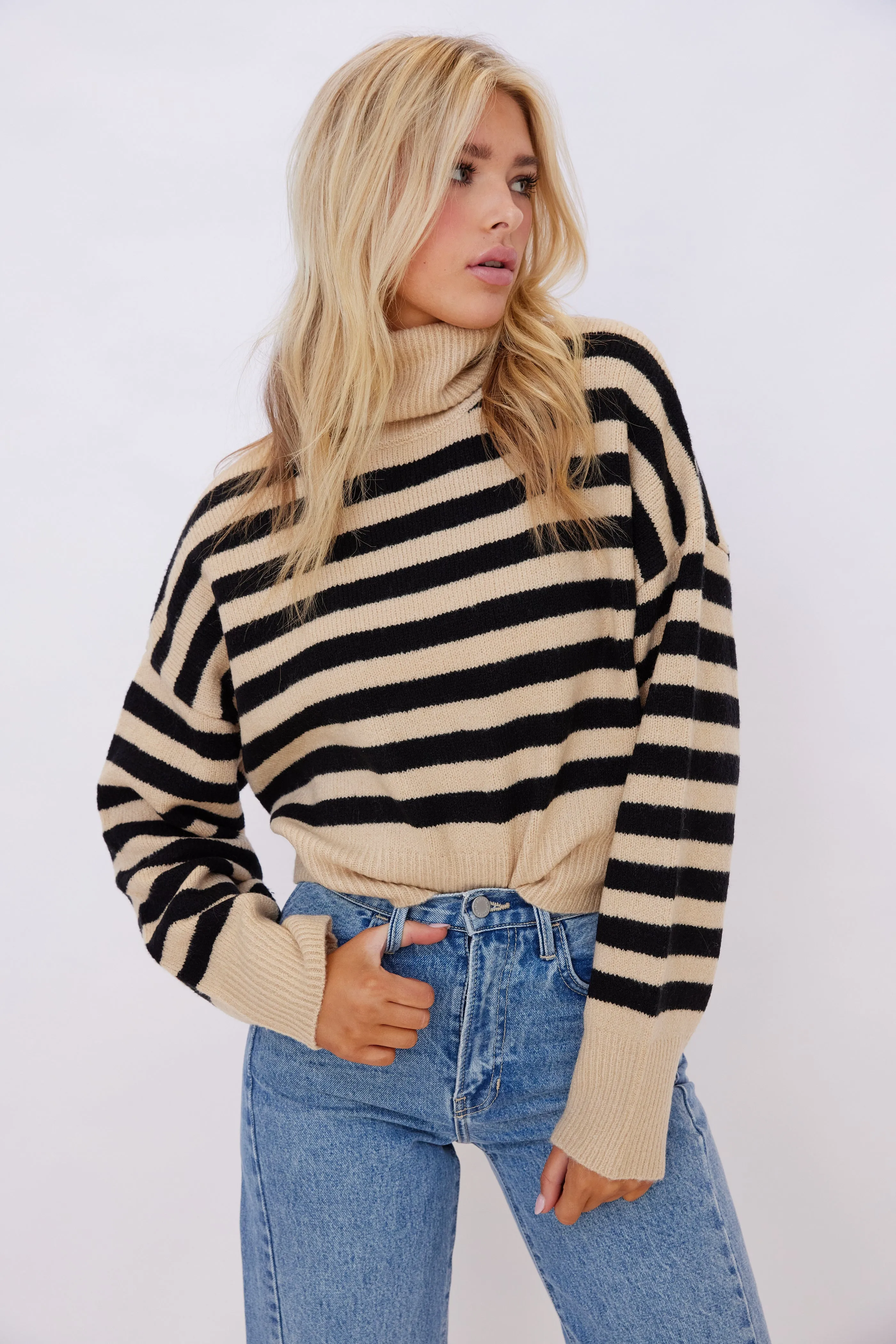Jean Stripe Turtleneck Sweater
